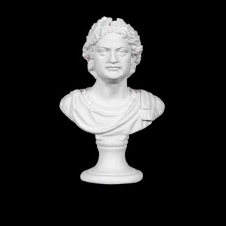 gipsovaya-figura-byust-petra-i