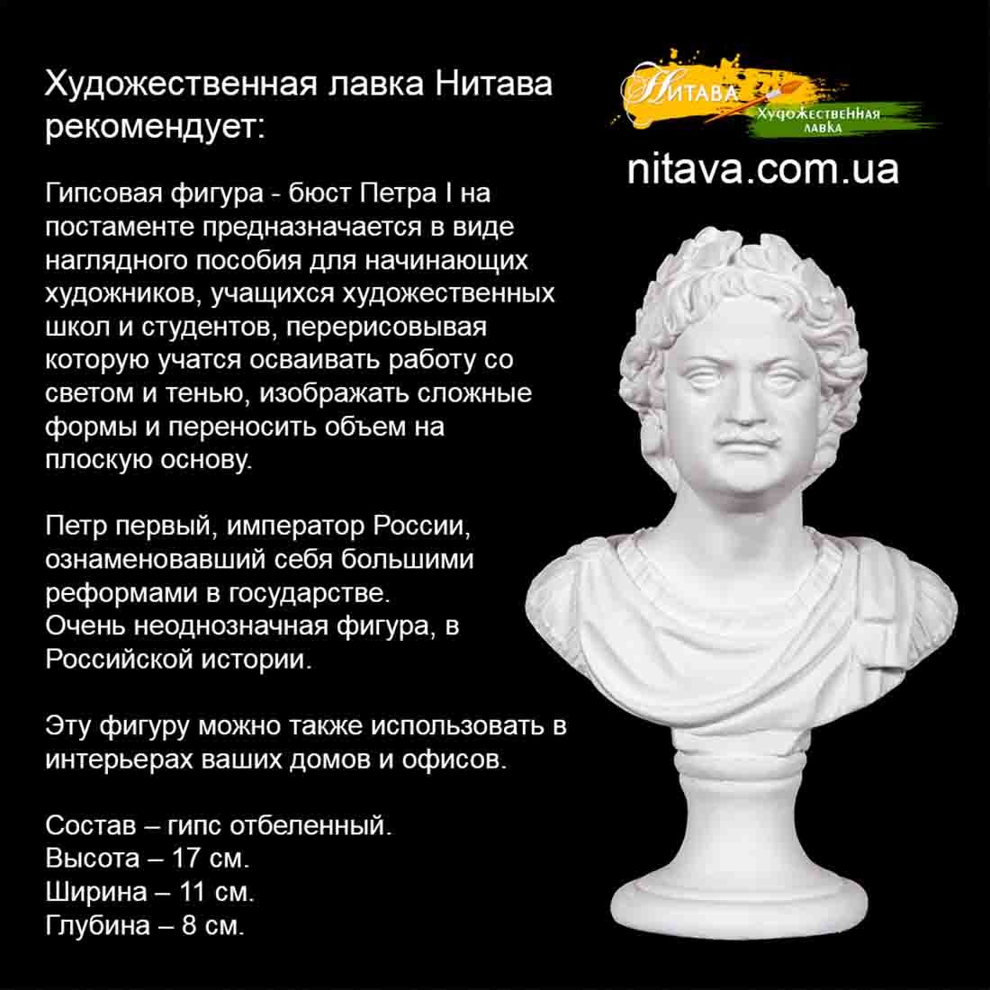 gipsovaya-figura-byust-petra-i 6