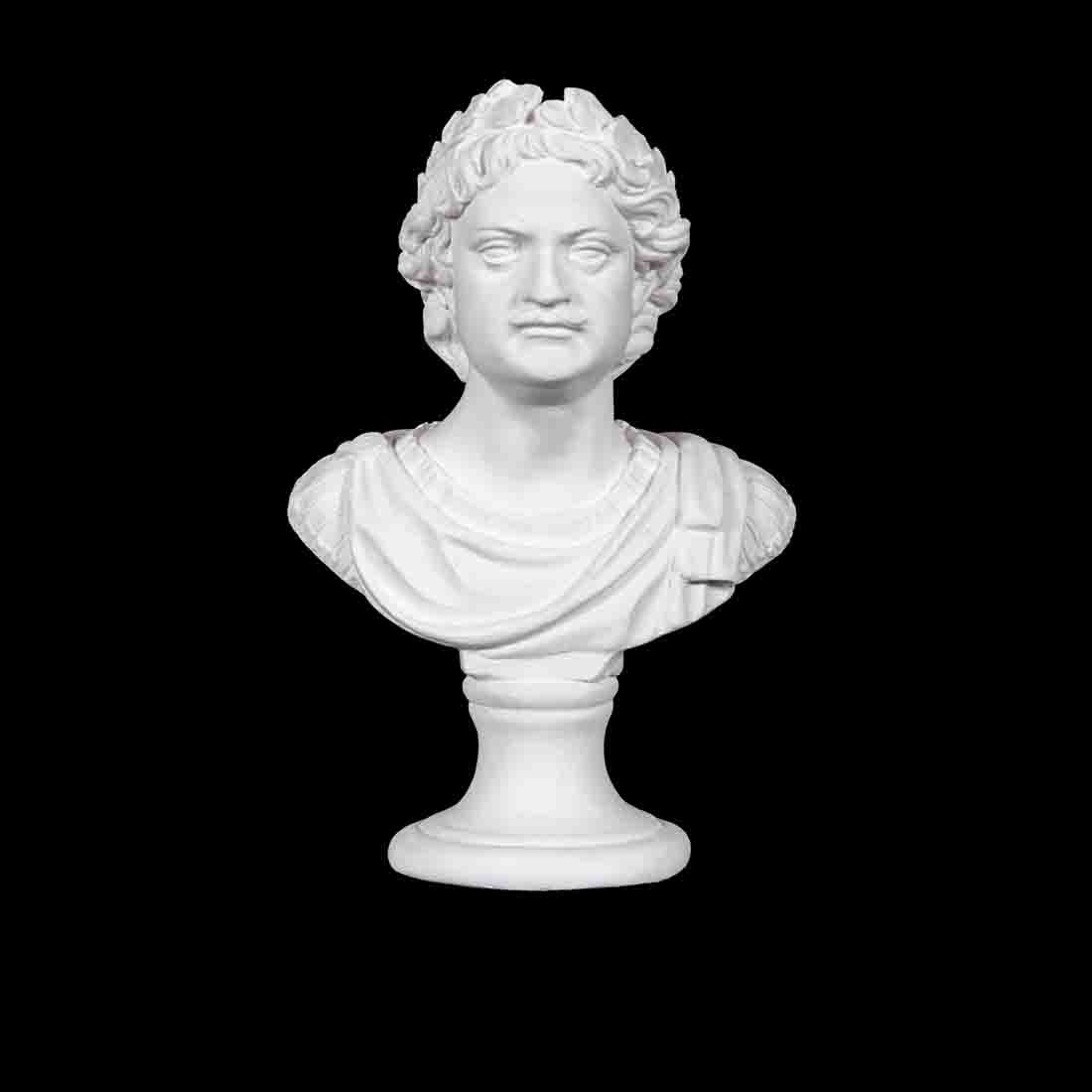 gipsovaya-figura-byust-petra-i