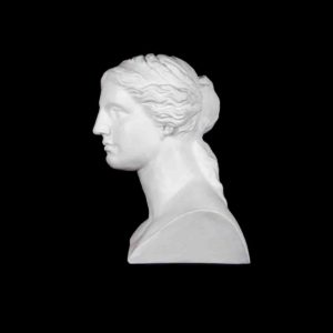 gipsovaya-figura-byust-venery 1