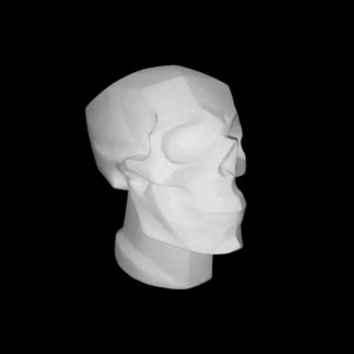 gipsovaya figura - cherep obrubovka po bammesu