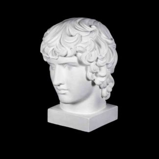 gipsovaya-figura-golova-antinoya 1