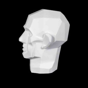 gipsovaya-figura-golova-obrubovochnaya-po-gudonu 1