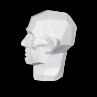 gipsovaya-figura-golova-obrubovochnaya-po-gudonu 1