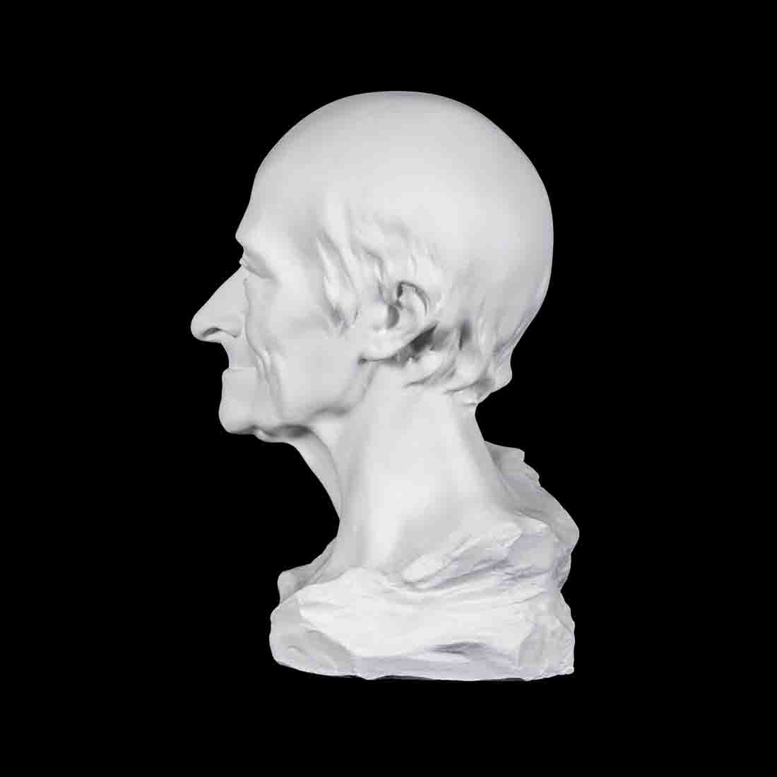 Гипсовая фигура- Голова Вольтера наглядное пособие.