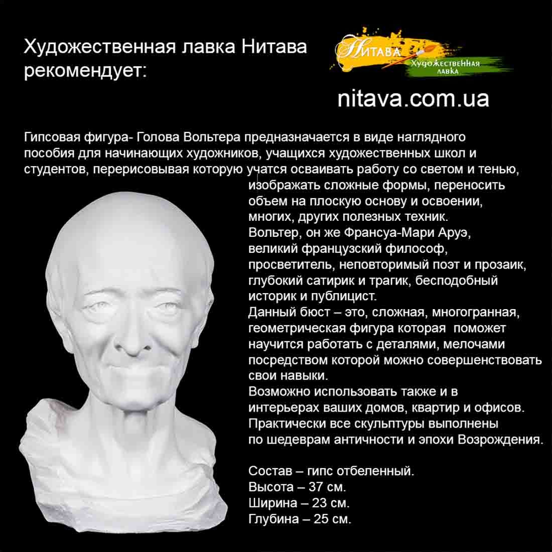 gipsovaya-figura-golova-voltera 2