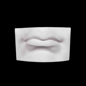 gipsovaya figura - guby davida