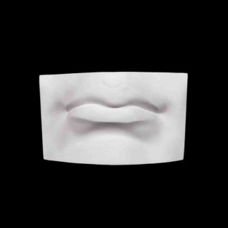 gipsovaya figura - guby davida