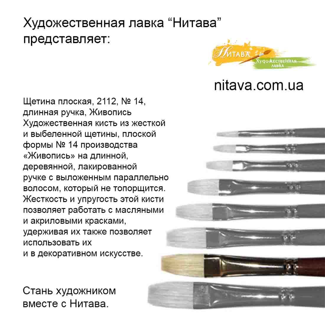 shchetina-ploskaya-2112-14-dlinnaya-ruchka-belyi-vors-zhivopis