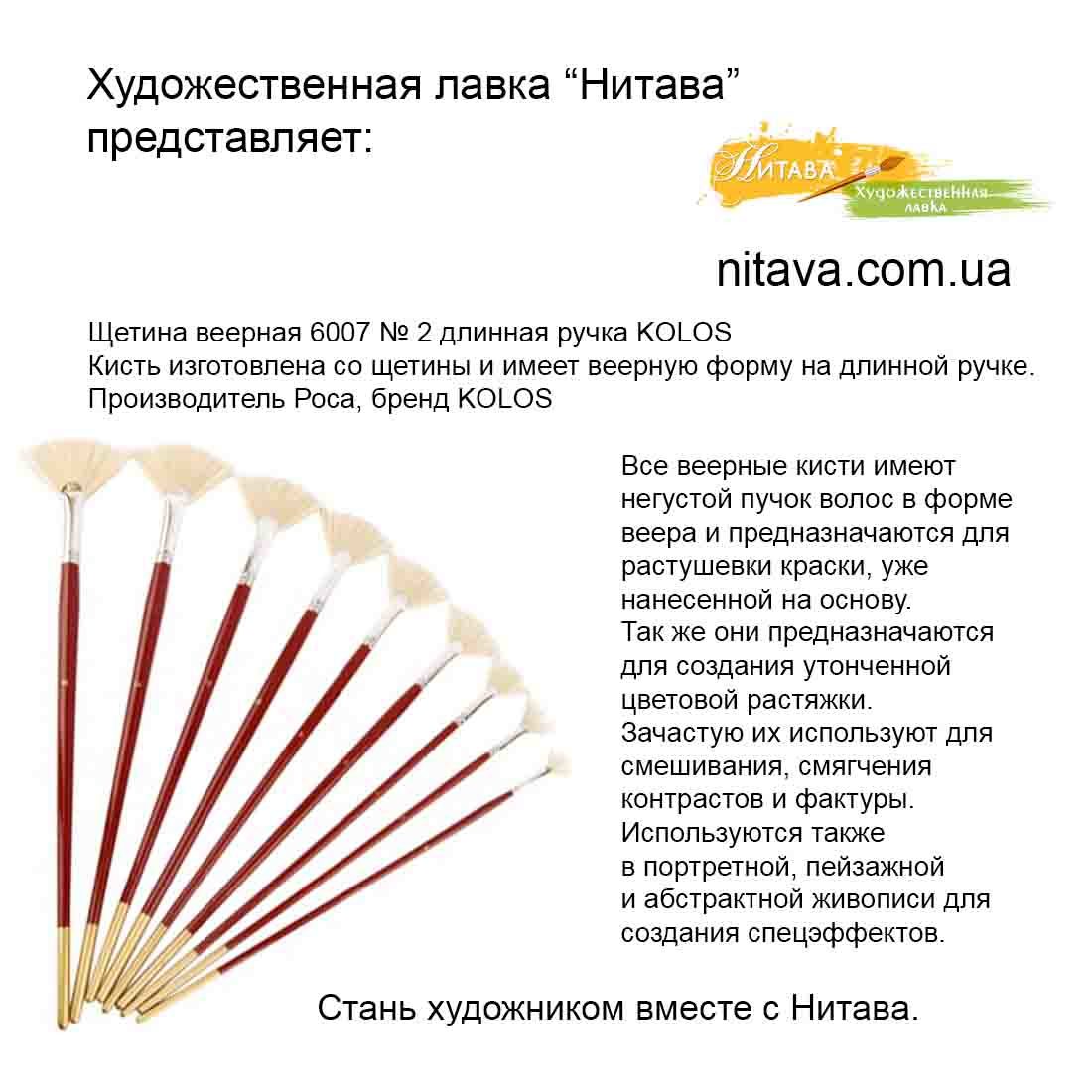 shchetina-veernaya-6007-2-d-r-kist-kolos