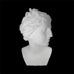 gipsovaya-figura-golova-afrodity