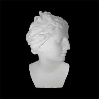 gipsovaya-figura-golova-afrodity