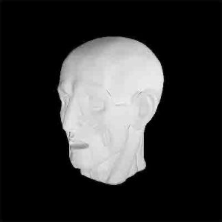 gipsovaya-figura-golova-ekorshe6