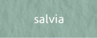 Папір для пастелі Fabriano Tiziano 70х100 см 160 гр Salvia 13