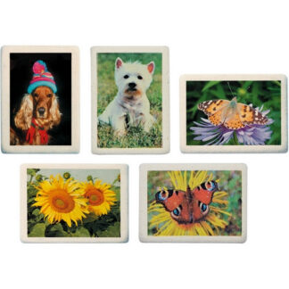 Ластик Koh-i-Noor 37х23х7 мм з картинкою