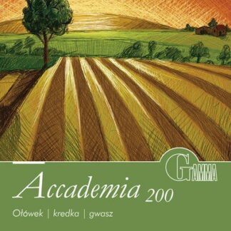 Склейка для малюнка Gamma Accademia 200 гр 10 аркушів 16x22.5