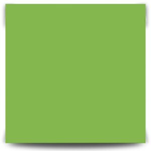 Папір кольоровий для дизайну Folia Fotokarton 21х29 300 гр Світло-зелений 51