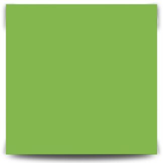 Папір кольоровий для дизайну Folia Fotokarton 21х29 300 гр Світло-зелений 51