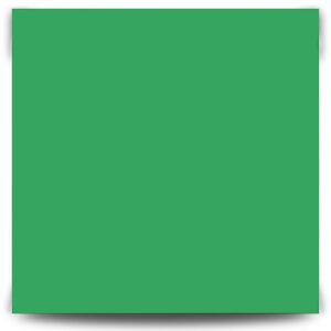 Папір кольоровий для дизайну Folia Fotokarton 21х29 300гр Смарагдово-зелений 54