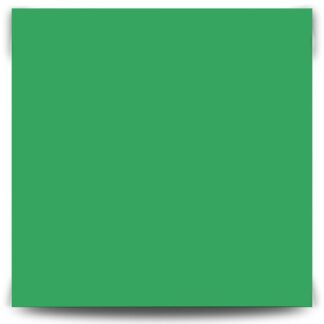 Папір кольоровий для дизайну Folia Fotokarton 21х29 300гр Смарагдово-зелений 54