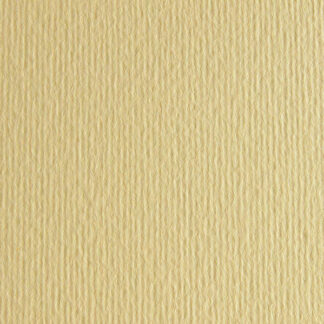 Картон кольоровий Fabriano Elle Erre 21x29 см 220 гр 17 onice